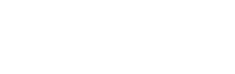 Logo Interact Timișoara Cetate